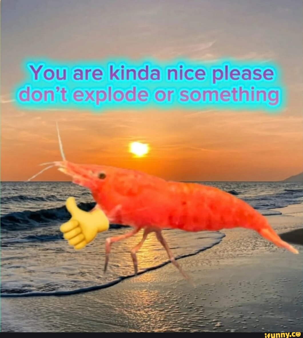 You are kinda nice please don't explode or something - iFunny