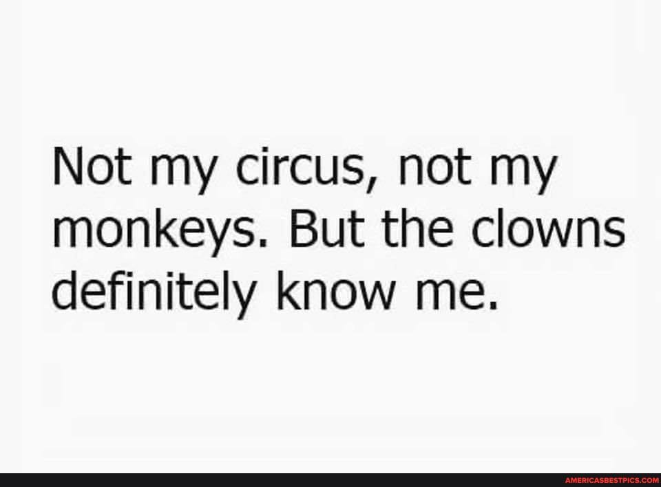 Not my circus, not my monkeys. But the clowns definitely know me.