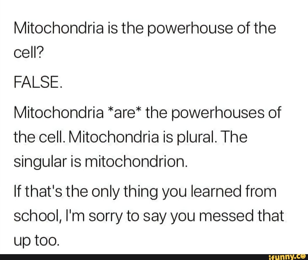 mitochondria are called the powerhouse of the cell true or false