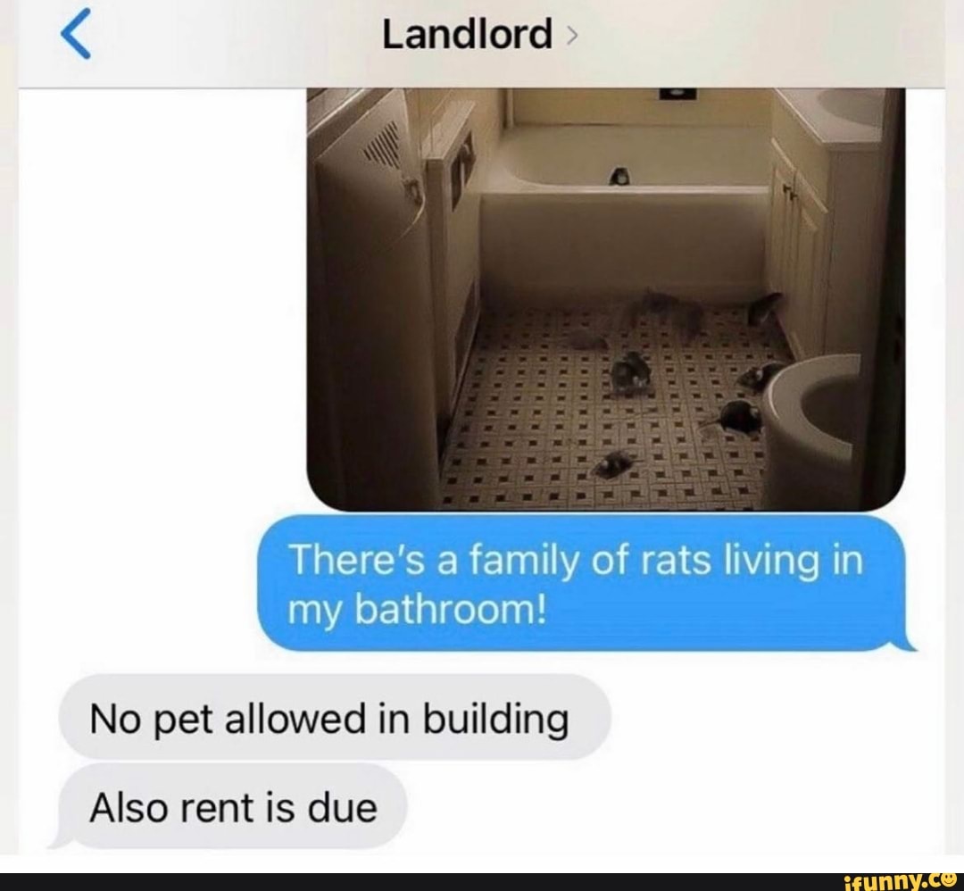 Landlord There's a family of rats living in my bathroom! No pet allowed