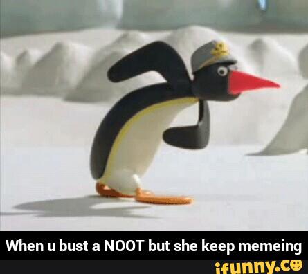 Noot Noot Asshole