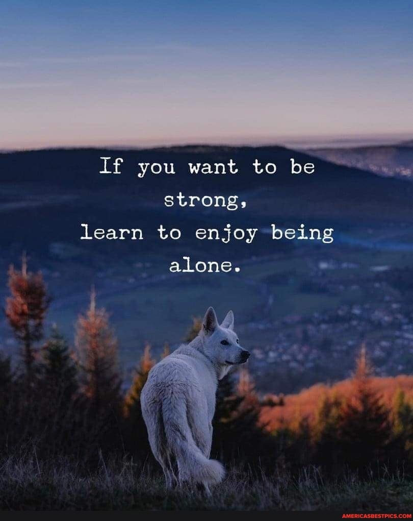 If you want to be strong, learn to enjoy being alone. - America’s best ...