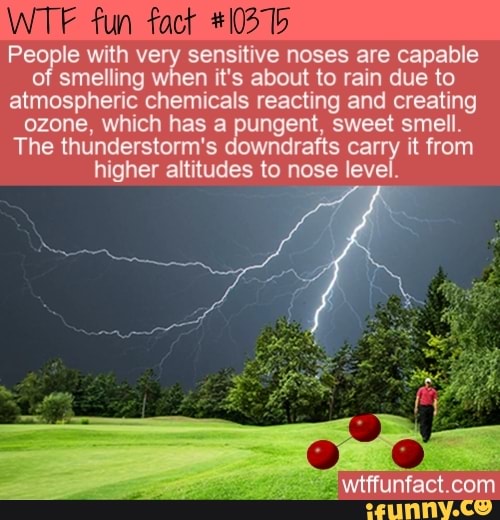 AA People with very sensitive noses are capable smelling when it's