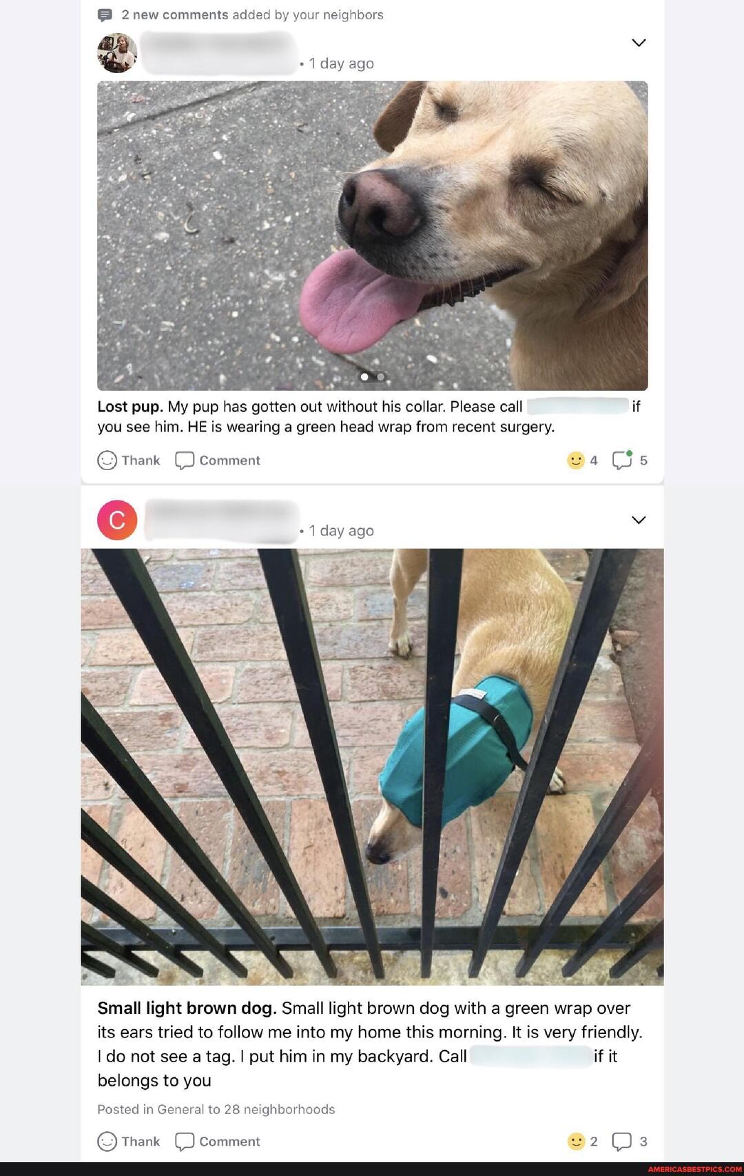2new comments added by your neighbors
1 day ago
Lost pup. My pup has gotten out without his collar. Please call if you see him. HE is wearing a green head wrap from recent surgery.
Thank Comment 4 5
eC 1 day ago
Small light brown dog. Small light brown dog with a green wrap over its ears tried to follow me into my home this morning. It is very friendly.
I do not see a tag. I put him in my backyard. Call if it belongs to you
Posted in General to 28 neighborhoods
Thank Comment 2 3