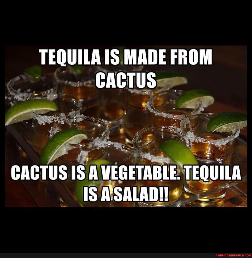 TEQUILA IS MADE FROM CACTUS CACTUS IS A VEGETABLE. TEQUILA IS America’s best pics and videos
