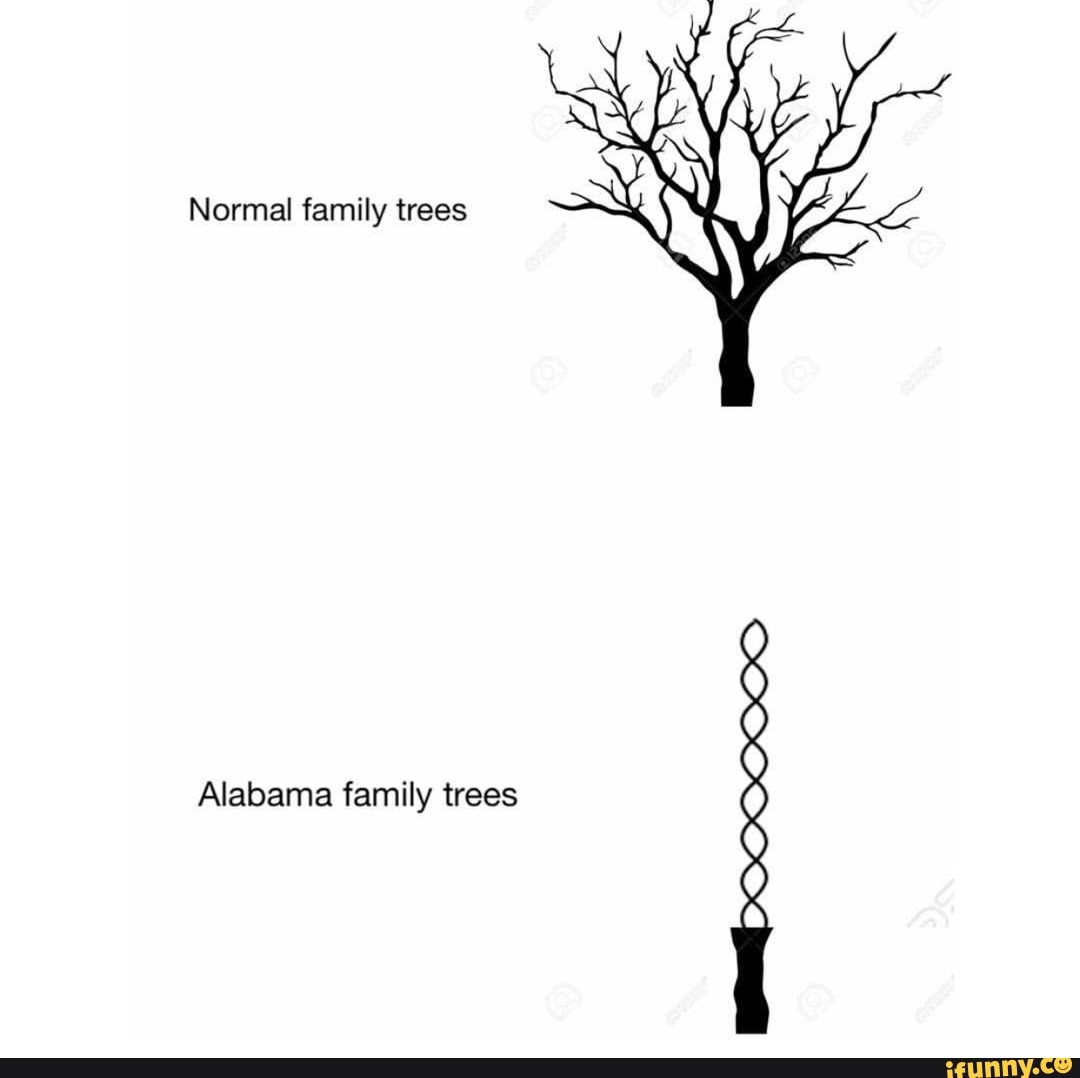 Normal family. Семейное дерево Алабамы. Алабама Фэмили. Alabama Family Tree meme. Дерево Мем.