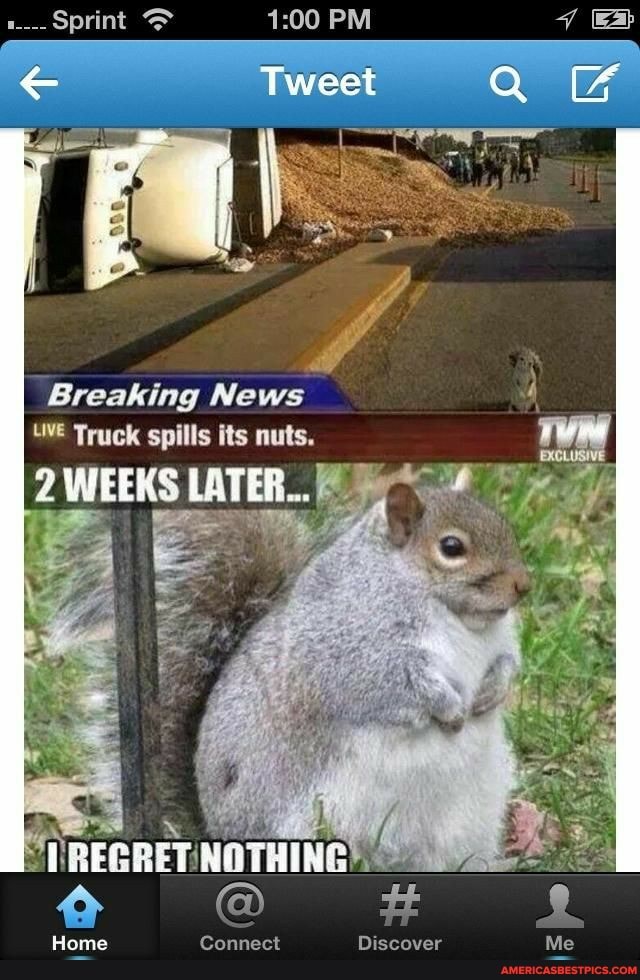 Sprint
Tweet
ap
I Breaking News
WE Truck spills its nuts.
ESTER
Home Connect Discover Me