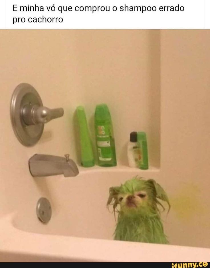 E minha vó que comprou o shampoo errado pro cachorro