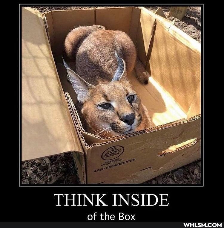 THINK INSIDE