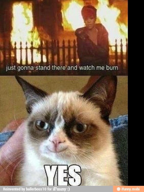 TIRA Ad
just gonna'stand there'and watch me burn