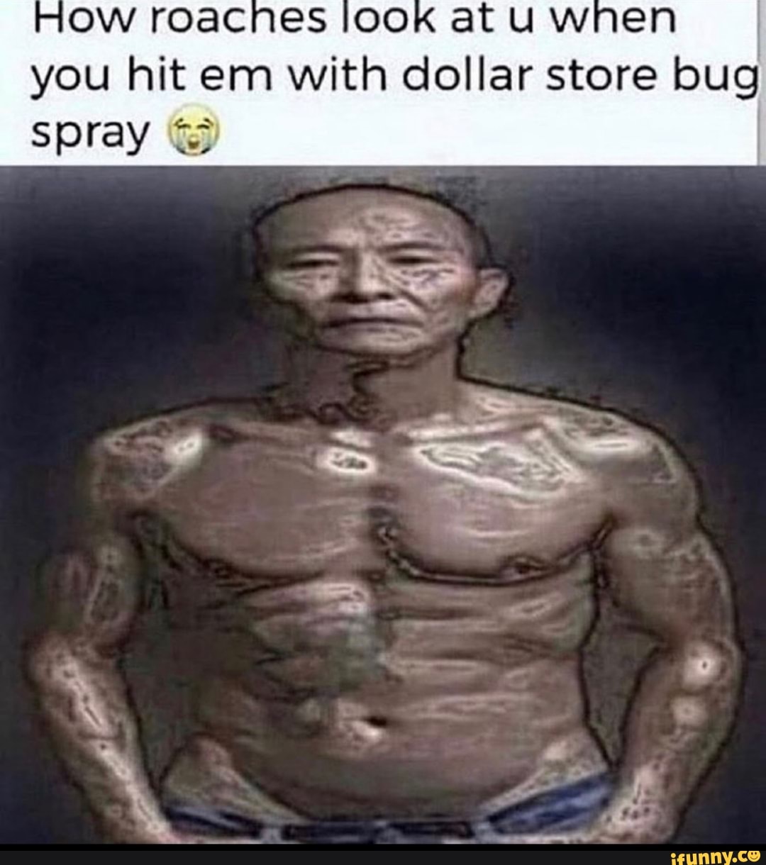 Ow roaches look at U when you hit em with dollar store bug spray iFunny