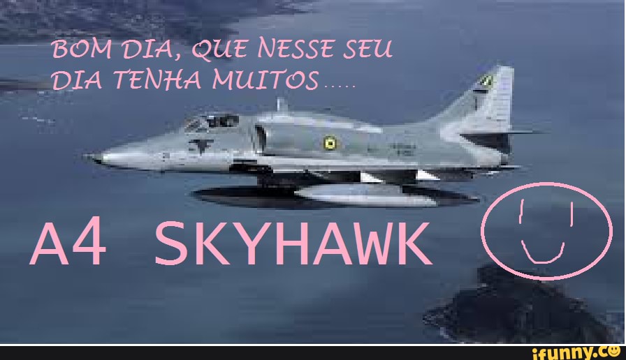 BOM DIA, QUE NESSE SEU
.DIA TENHA MUITOS
SKYHAWK