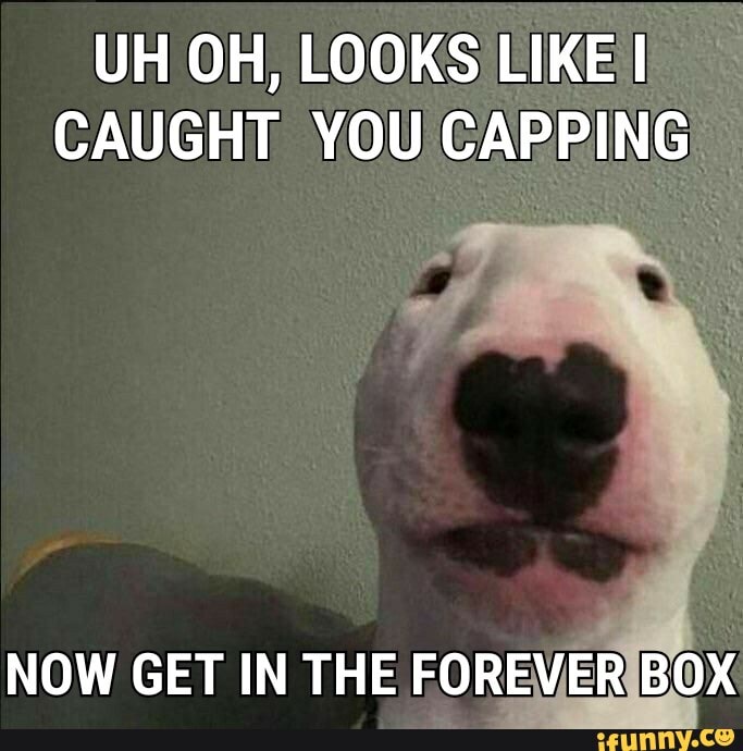 UH OH, LOOKS LIKE!
I
CAUGHT YOU CAPPING
NOW GET IN THE FOREVERIBOX