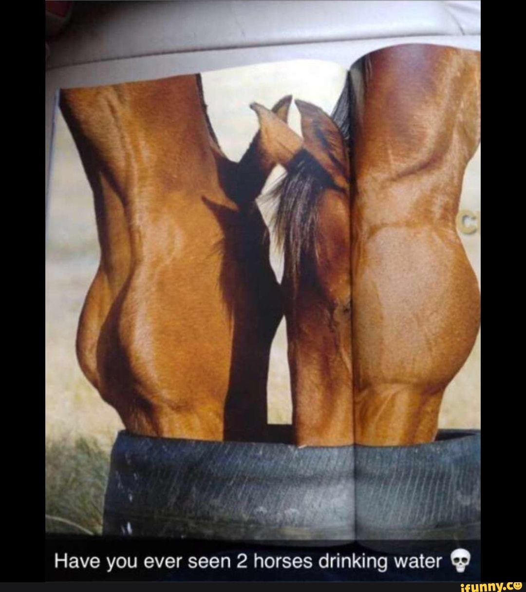 Have you ever seen 2 horses drinking water