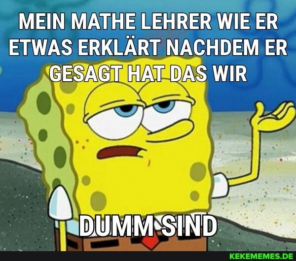 MEIN MATHE LEHRER WIE ER ETWAS ERKLÄRT NACHDEM ER GESAGT HAT DAS WIR