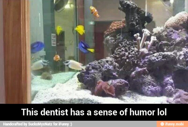 This dentist has a sense of humor lol - This dentist has a sense of humor lol