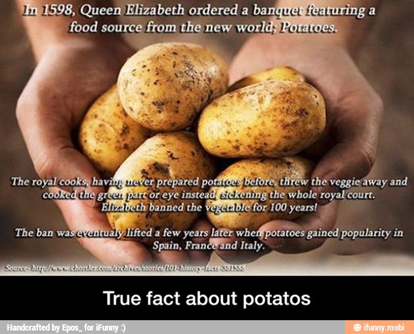True fact about potatos - True fact about potatos
