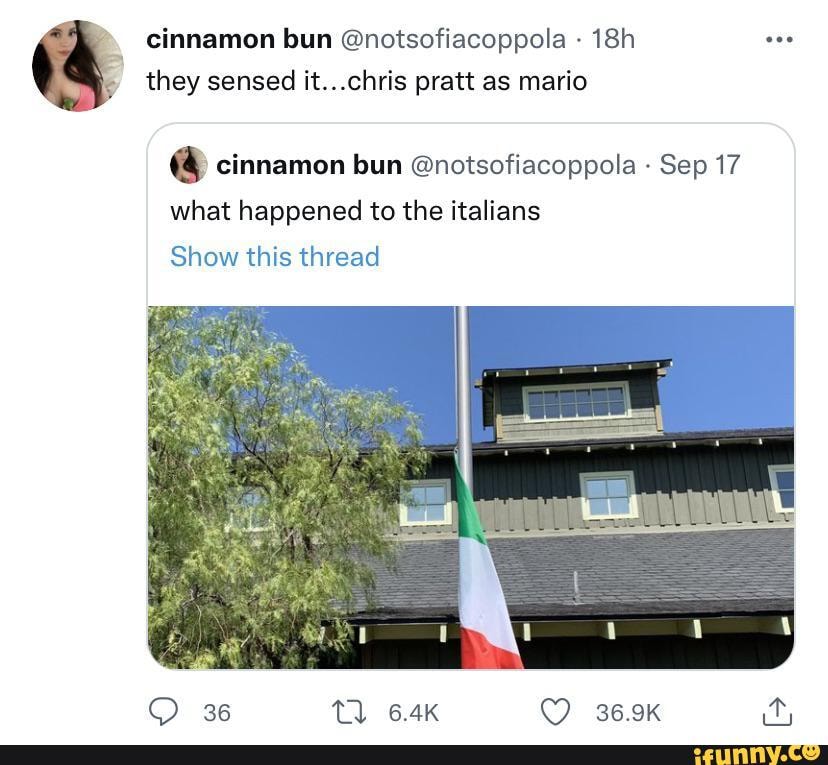 Cinnamon bun @notsofiacoppola they sensed it...chris pratt as mario cinnamon bun