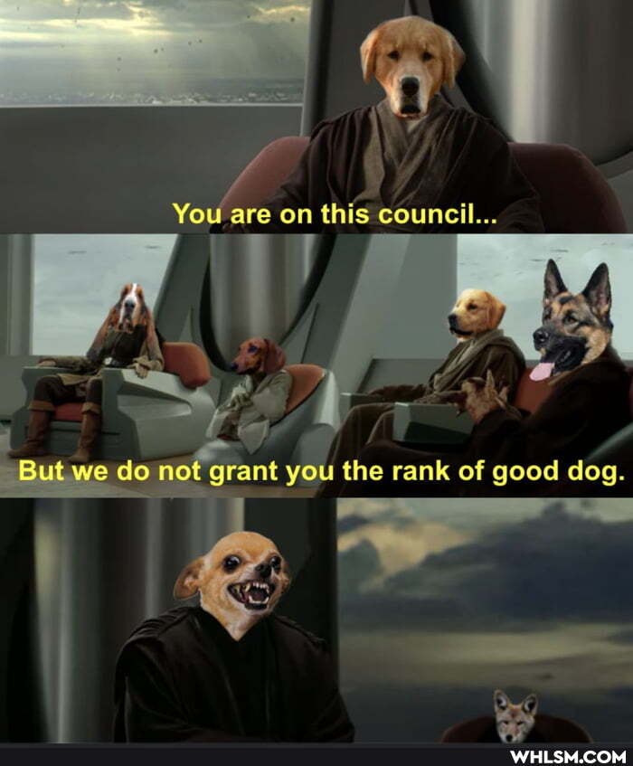 You are on this council...
But we do not grant you the rank of good dog.
KY