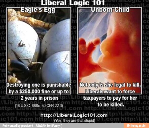 I
by a $250,000 fine or up
to'I
2 years in prison taxpayers to pay for her
(Yes, they are that stupid)