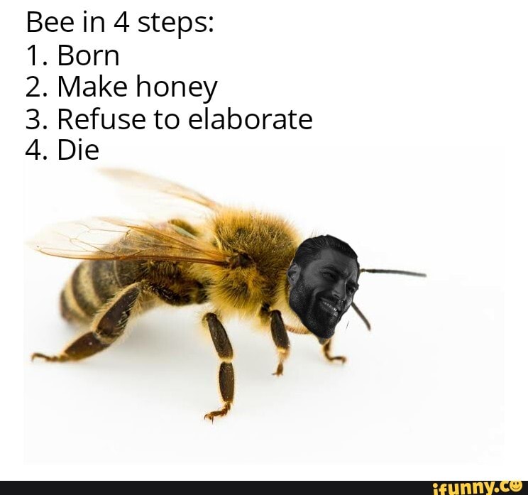 Bee in 4 steps: 1. Born 2, Make honey 3. Refuse to elaborate 4. Die ...