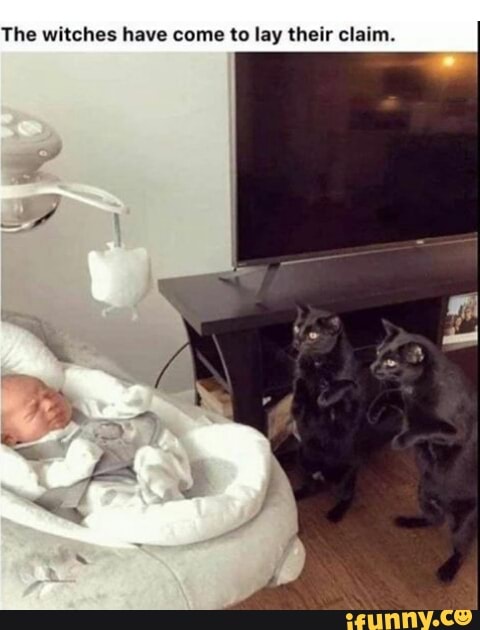 The witches have come to lay their claim.