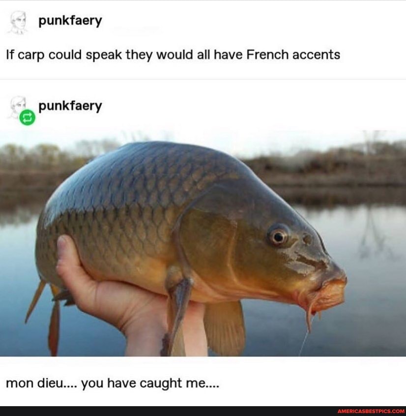 Funny accents you give animals? r/TwoBestFriendsPlay