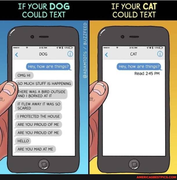 IF YOUR DOG COULD TEXT IF YOUR CAT COULD TEXT
Read PM
MUCH STUFF IS HAPPENING
IERE WAS A BIRD OUTSIDE
[AND I BORKED AT IT
IT FLEW AWAY IT WAS SO
'SCARED
PROTECTED THE HOUSE
'ARE YOU PROUD OF ME
'ARE YOU PROUD OF ME HELLO
'ARE YOU MAD AT ME