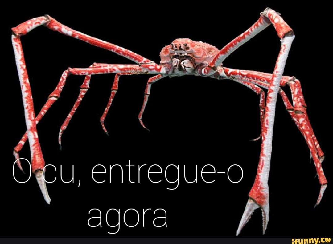 cu, entregue-o agora