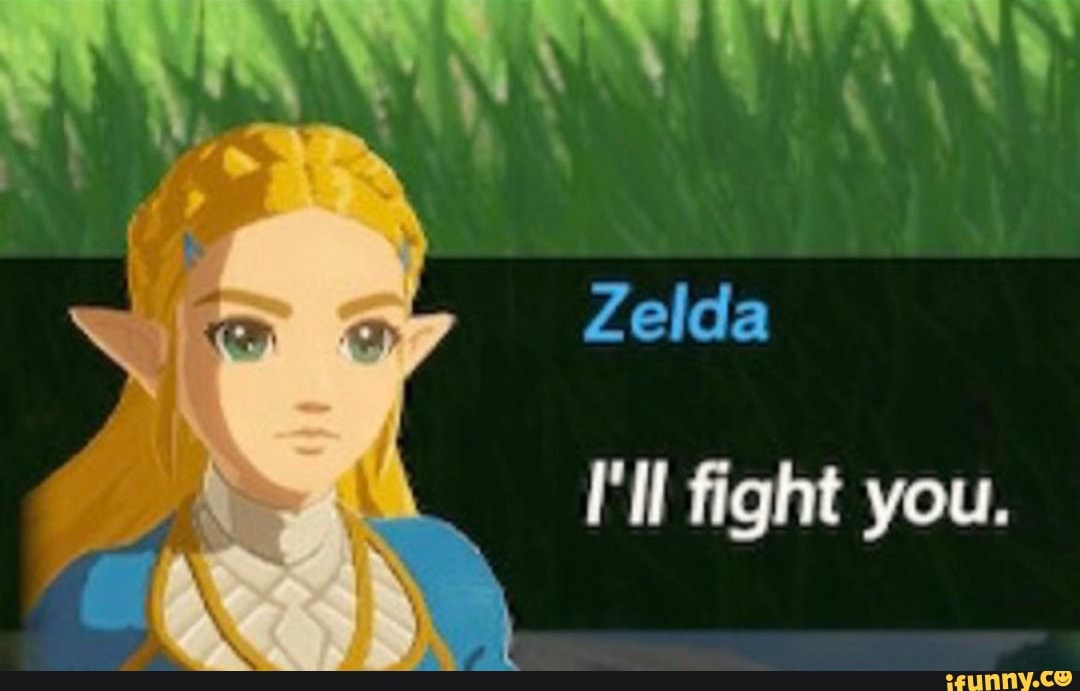 Zelda I'll fight you. - iFunny