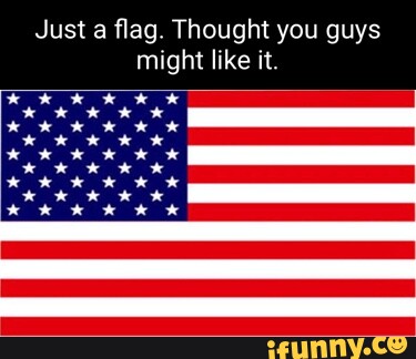 Just a flag. Thought you guys might like it. - iFunny