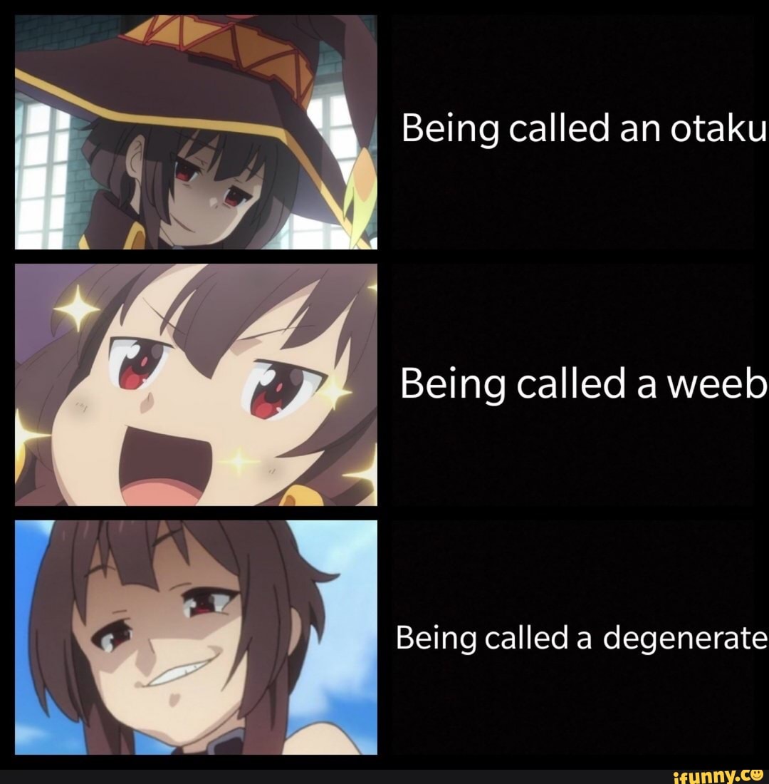 Being called an otaku Being called aweeb Being called a degenerate - iFunny