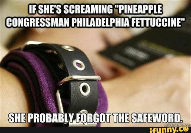 IF SHE'S SCREAMING "PINEAPPLE CONGRESSMAN PHILADELPHIA FETTUCCINE"
ale
SHE FROBABLY FORGOT THE SAFEWORD.