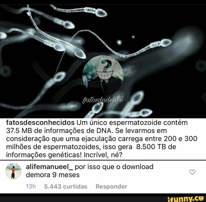 fatosdesconhecidos Um único espermatozoide contém
37.5 MB de informações de DNA. Se levarmos em consideração que uma ejaculação carrega entre 200 e 300 milhões de espermatozoides, isso gera 8.500 TB de informações genéticas! Incrível, né?
alifemanueel por isso que o download demora 9 meses
65.443 curtidas Responder