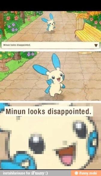 Minun looks disappointed.
LE