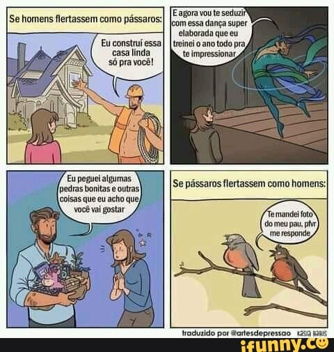 Se homens flertassem como pássaros;
vou
essa dança super
elaborada queeu
Eu constru essaI casalínda
Eu peguei algumas
[pedras bonitas outrasI coisas que eu acho que) você vai gostar
Se pássaros flertassem como homens:
Troduzido por Martesdepressoo