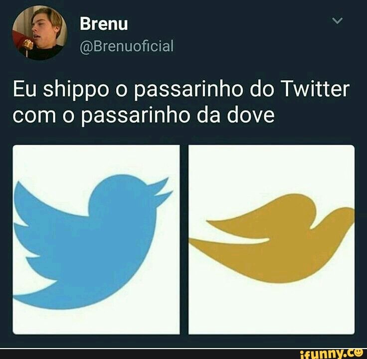 EM Brenu
Eu shippo o passarinho do Twitter com o passarinho da dove