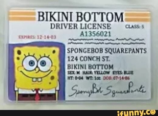 bikini-bottom-driver-license-ciass-s-a1356021-spongebob-squarepants