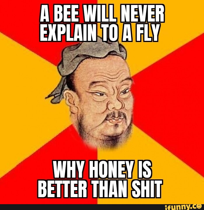 A BEE WILL NEVER EXPLAIN TO A FLY WHY HONEY IS BETTER THAN SHIT iFunny
