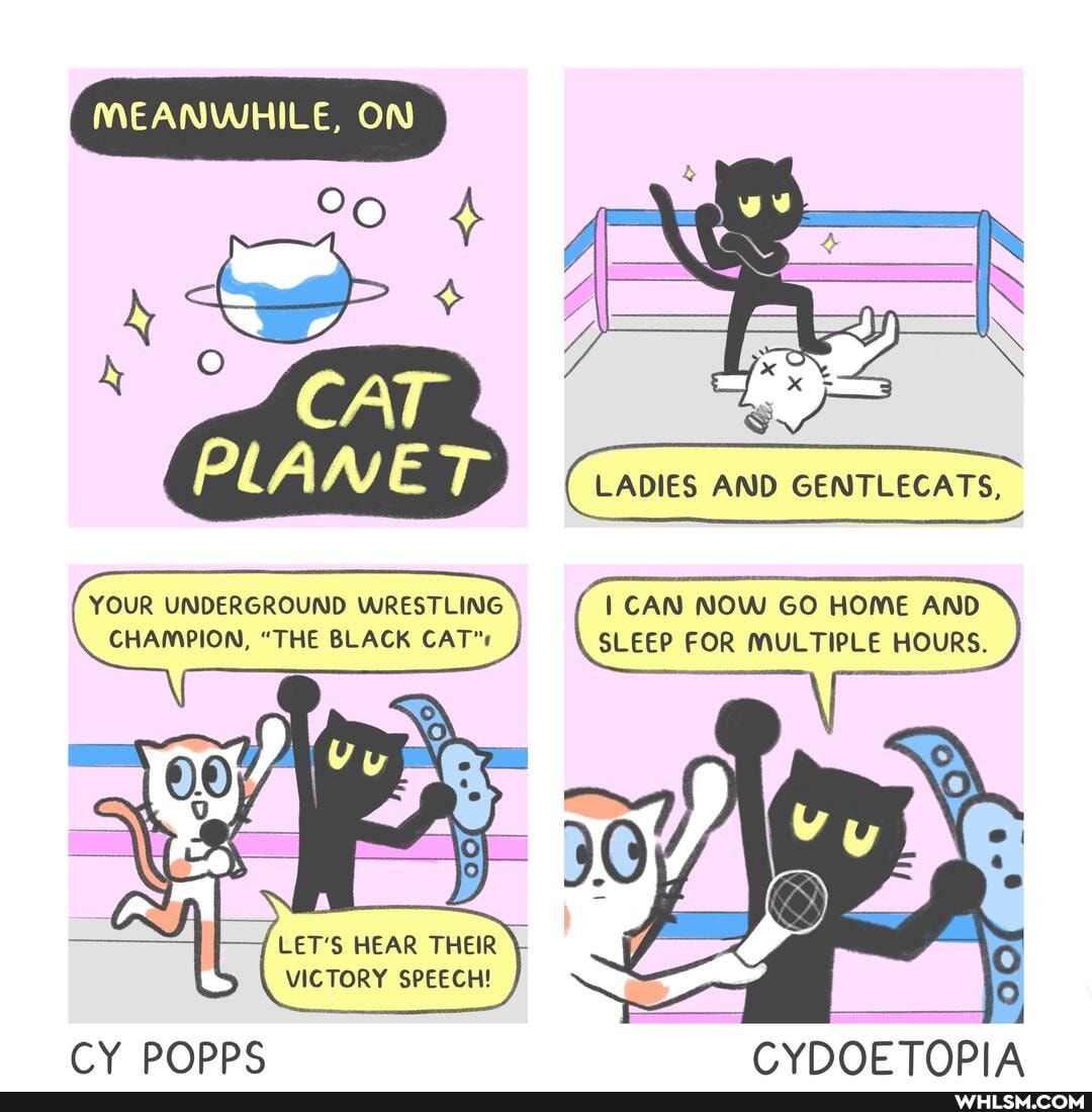 MEANWHILE, ON
ND
( LADIES AND GENTLECATS,
YOUR UNDERGROUND WRESTLING CAN NOW GO HOME AND CHAMPION, "THE BLACK CAT": SLEEP FOR MULTIPLE HOURS.
LET'S HEAR THEIR
VICTORY SPEECH!
CY POPPS CYDOFTOPIA