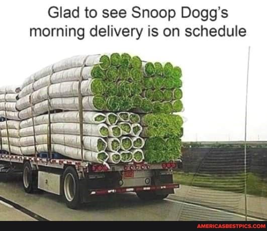 Glad to see Snoop Dogg's morning delivery is on schedule