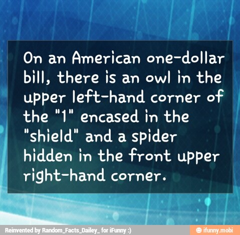 On an
American one-dollar
bill, there is an owl in the
upper left-hand corner
of I
the "1" encased in the
"shield" and a
spider
hidden in the front upper
right-hand corner.