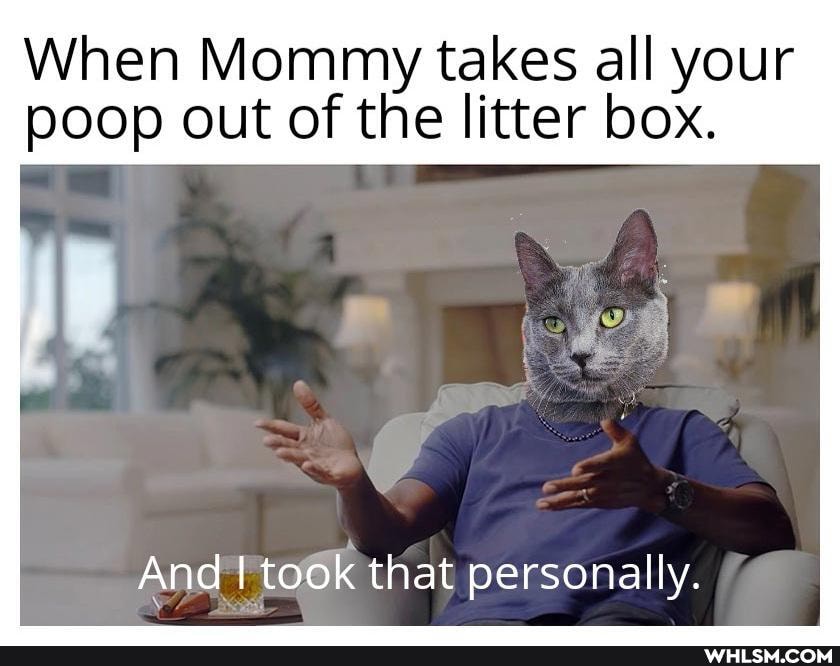 When Mommy takes all your
poop out of the litter box.
And I took to that personally.