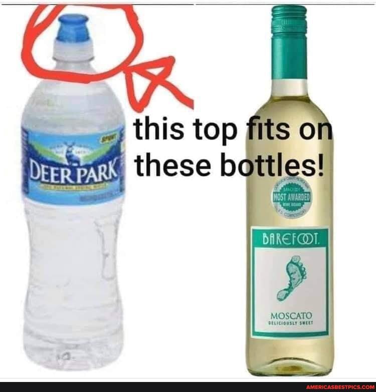 this top fits these bottles!
