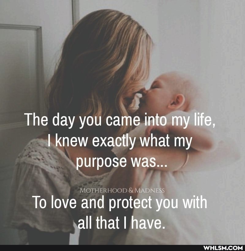 The day you came into my life,
I knew exactly what my
purpose was...
To love and protect you with sal that have.