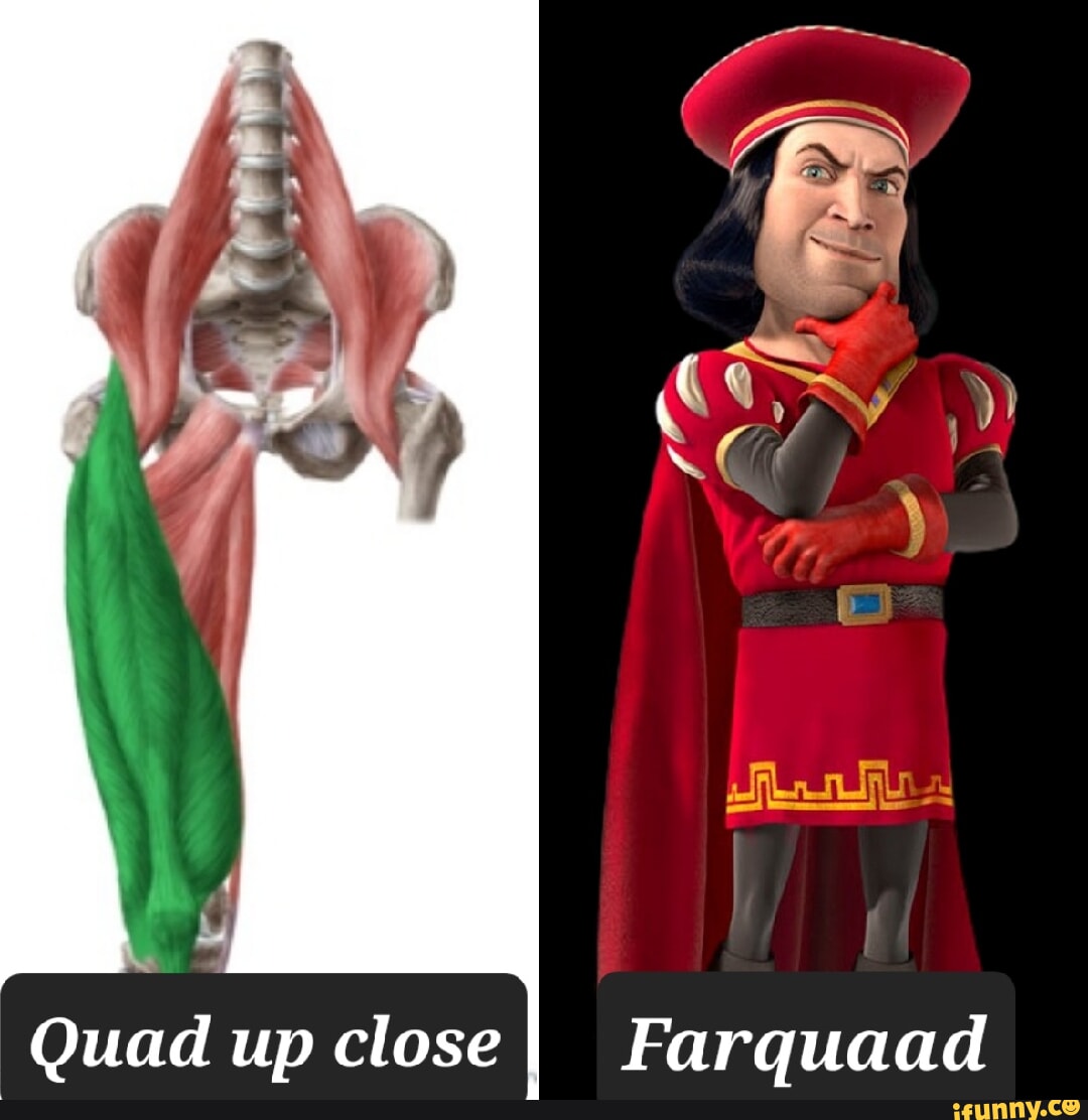 Quad up close Farquaad iFunny