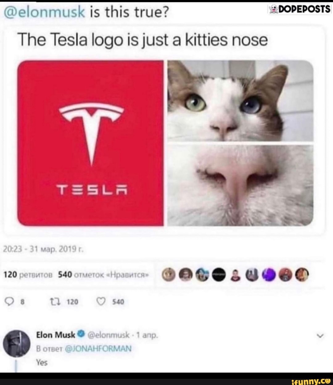 @elonmusk is this true? 2 DOPEPOSTS
The Tesla logo is just a kitties nose