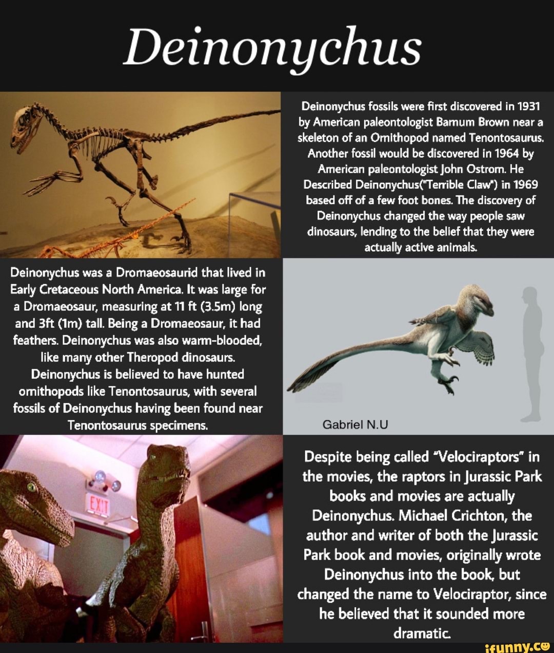 Deinonychus Deinonychus Fossils Were First Discovered In 1931 By ...