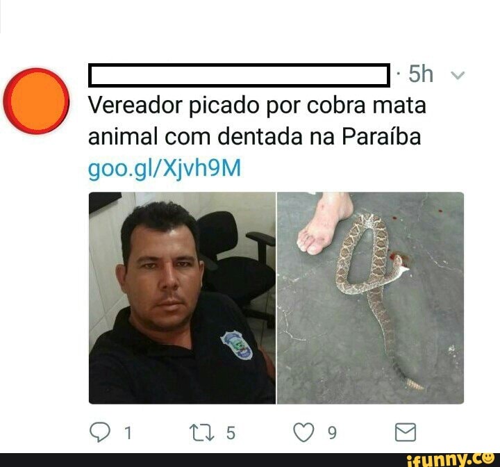 O Vereador picado por cobra mata
animal com dentada na Paraíba