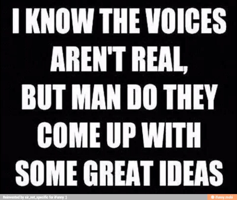 [KNOW THE VOICES
ARENT REAL
BUT MAN DO THEY
COME UP WITH
SOME GREAT IDEAS